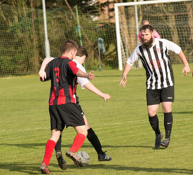 中的独特存 中的独特存